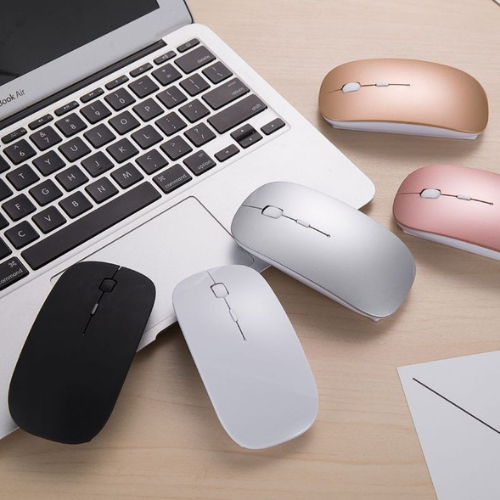 Computer Mouse